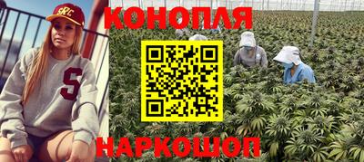 дживик Малгобек