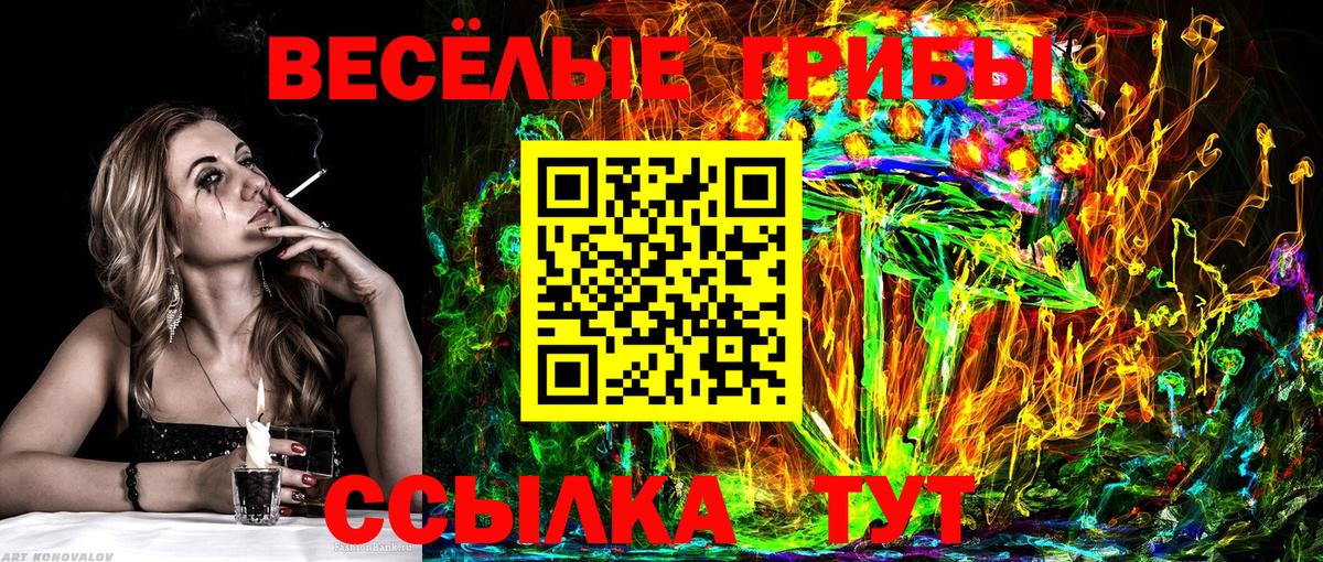Псилоцибиновые грибы мицелий  где продают   Псилоцибиновые грибы Psilocybe  Сыктывкар  Вход с VPN 